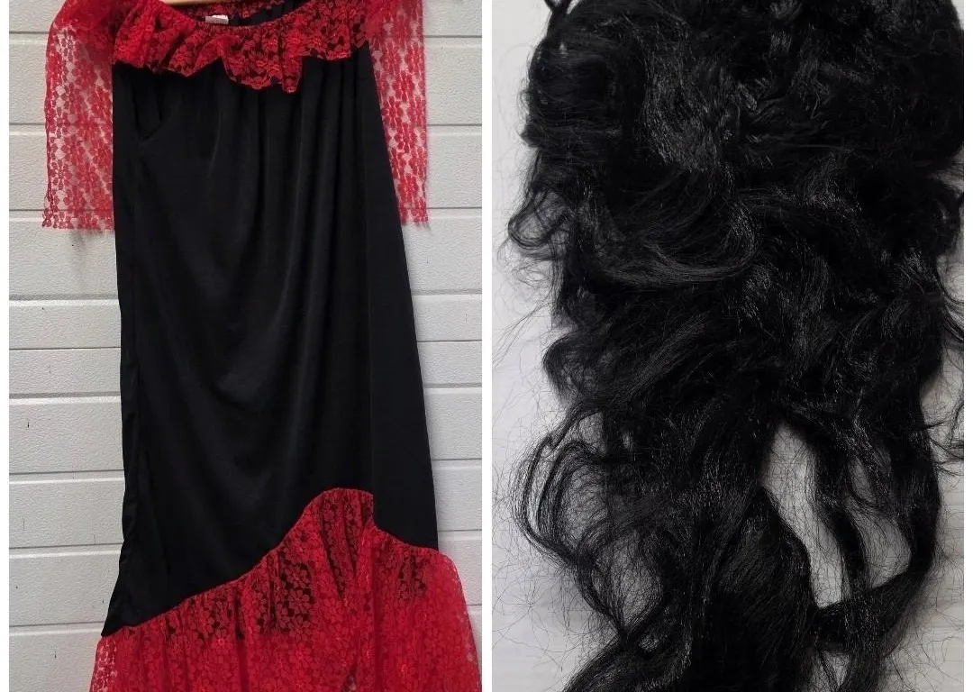 Spanish Senorita Halloween Costume w/ Black Wig