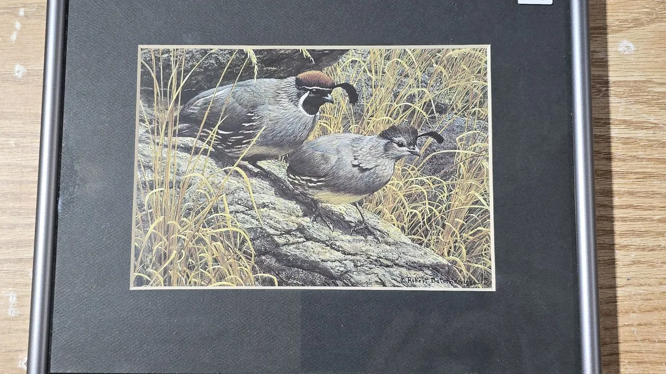 Robert Batman - "Gambel's Quail" (8.25"x 10.25")