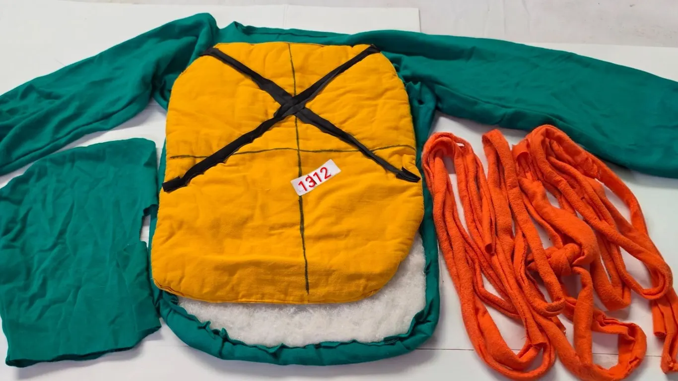 Teenage Mutant Ninja Turtle Halloween Costume (Size 12-14)