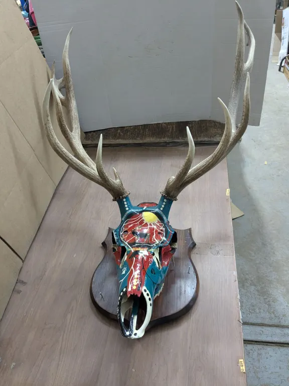 Mounted Indigenous Skull Art