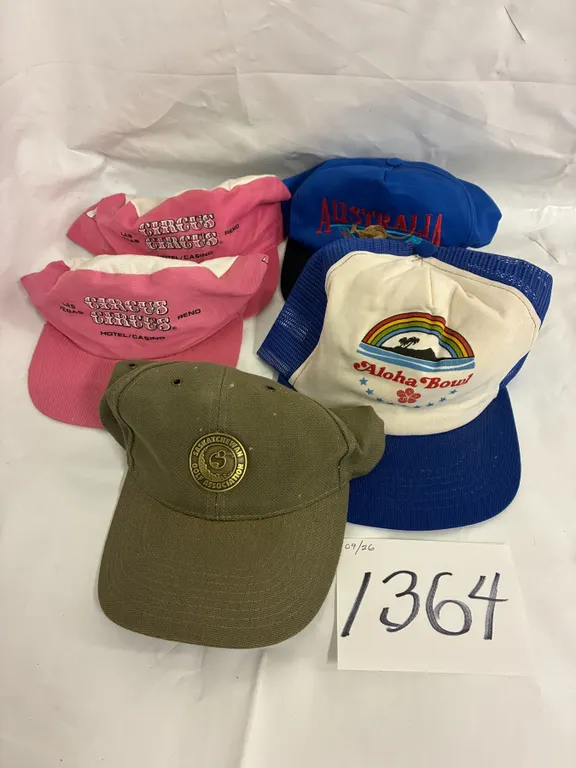 Assorted Hat Lot