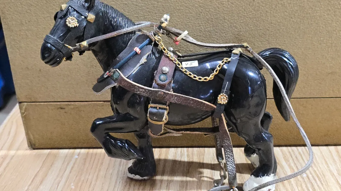 Large Belgian Draught horse