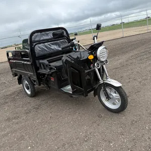 ET13 Electric Tricycle - Black