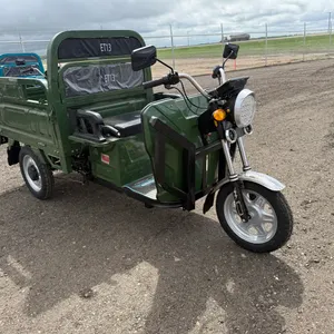 ET13 Electric Tricycle - Green