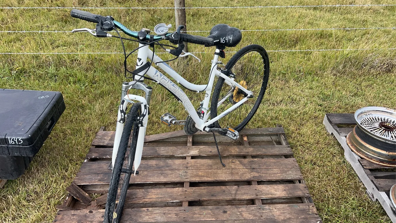 Women's Nakamura Bike, 6 spd, Tire size: 700x38C, *Unreserved*