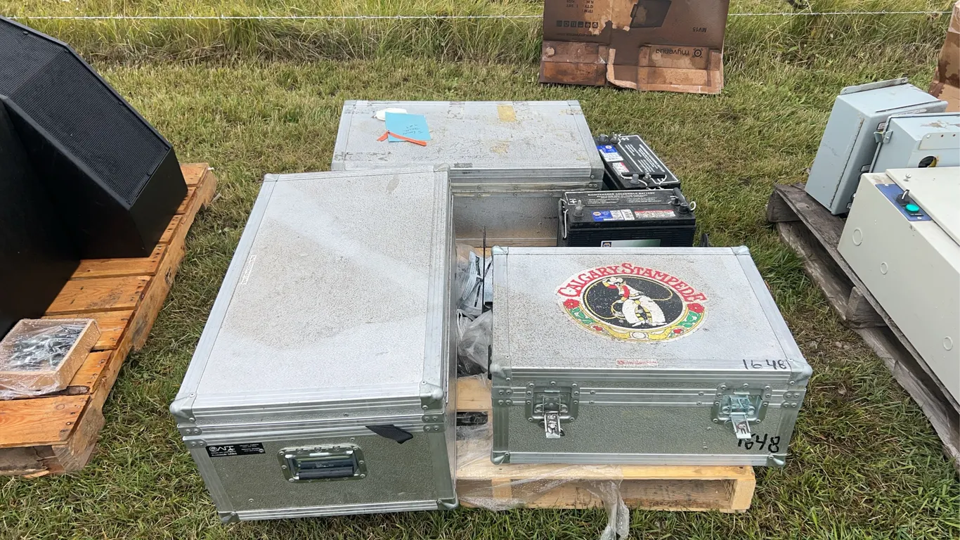 2 - Napa 31RVS batteries & 3 metal travel cases, *Unreserved*