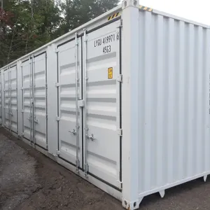 40' High Cube Multi-Door Container (#LYGU4199716)