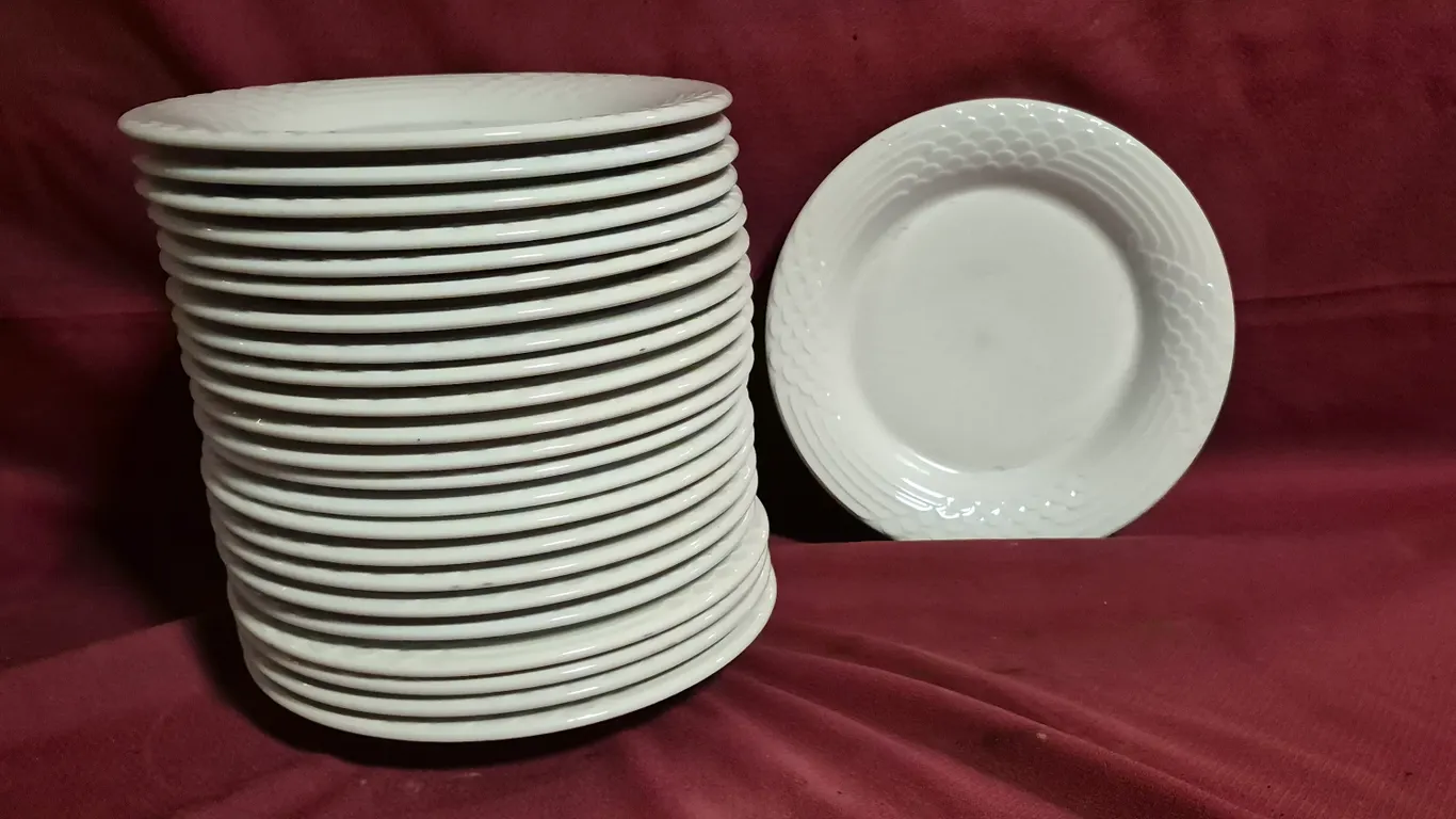 (24) Rego Fine Porcelain 10" Ceramic Plates