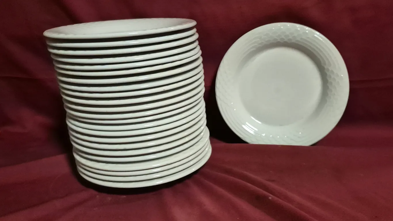 (24) Rego Fine Porcelain 10" Ceramic Plates