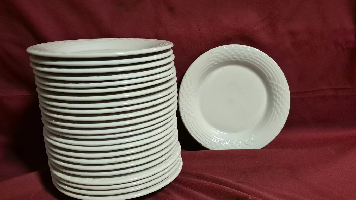 (24) Rego Fine Porcelain 10" Ceramic Plates