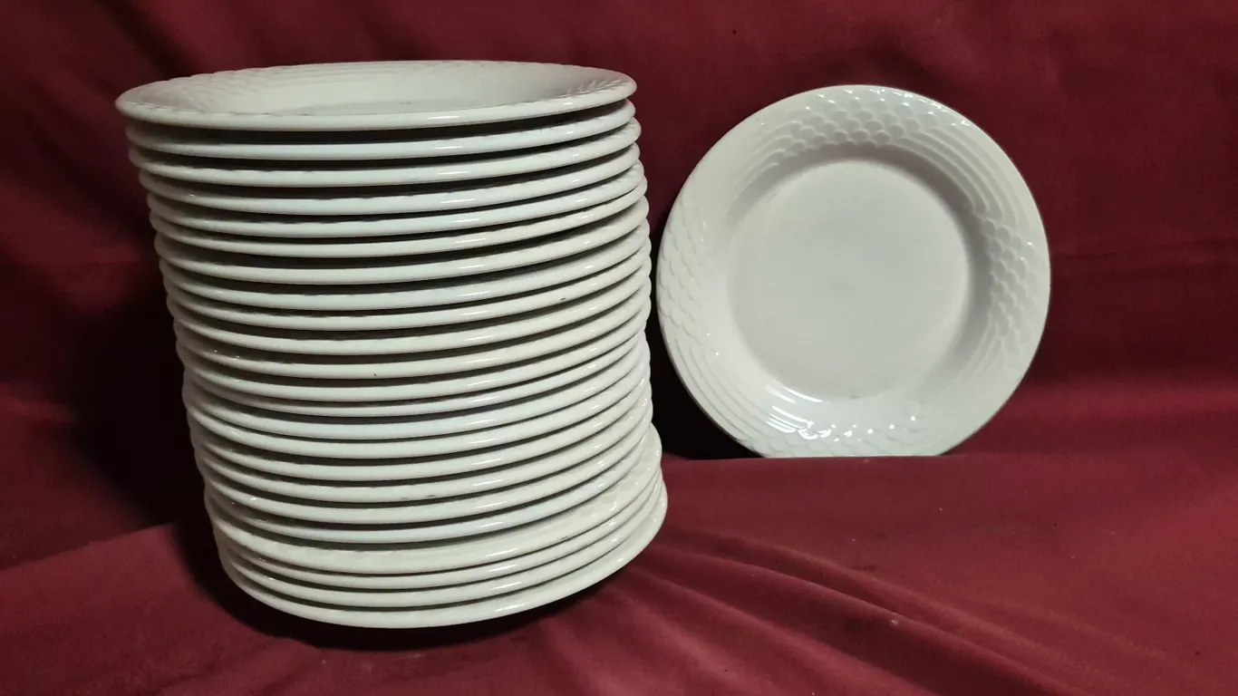 (24) Rego Fine Porcelain 10" Ceramic Plates