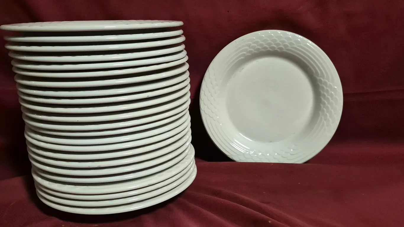 (24) Rego Fine Porcelain 10" Ceramic Plates