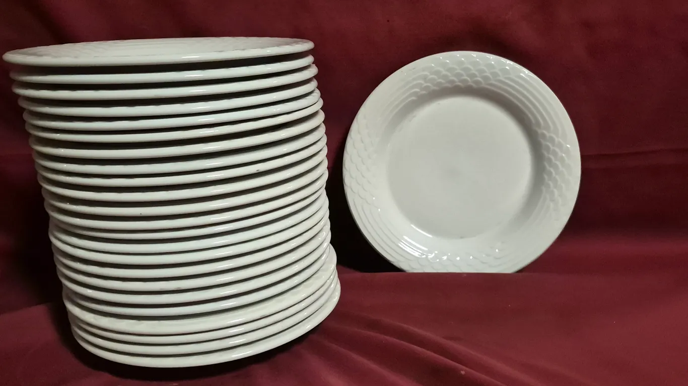 (24) Rego Fine Porcelain 10" Ceramic Plates