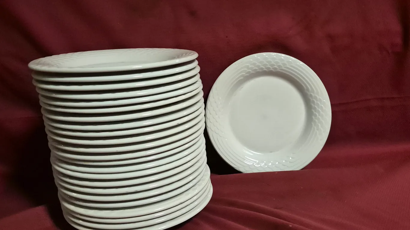(24) Rego Fine Porcelain 10" Ceramic Plates