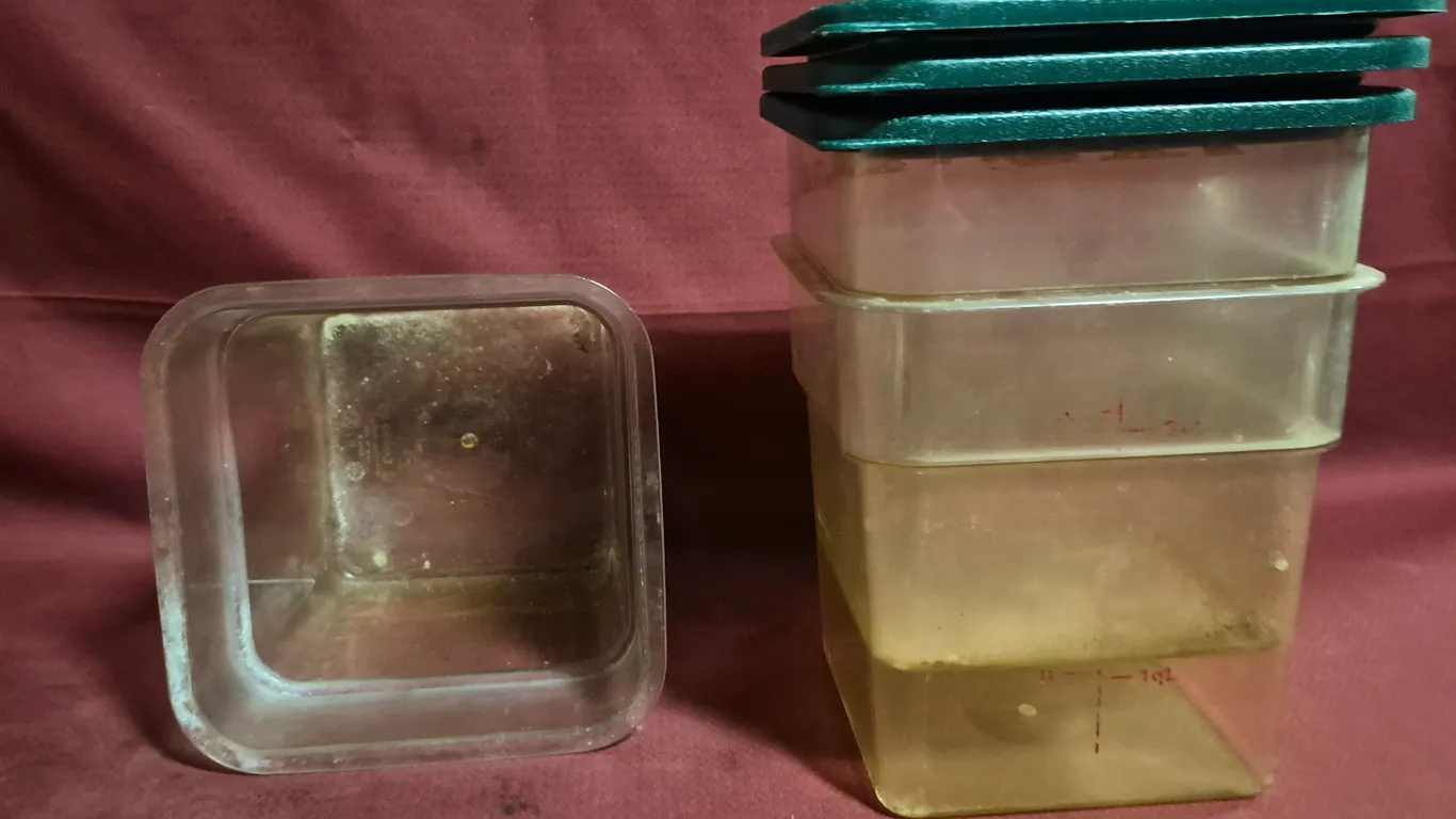 (3) 4qt Storage Containers with Covers
