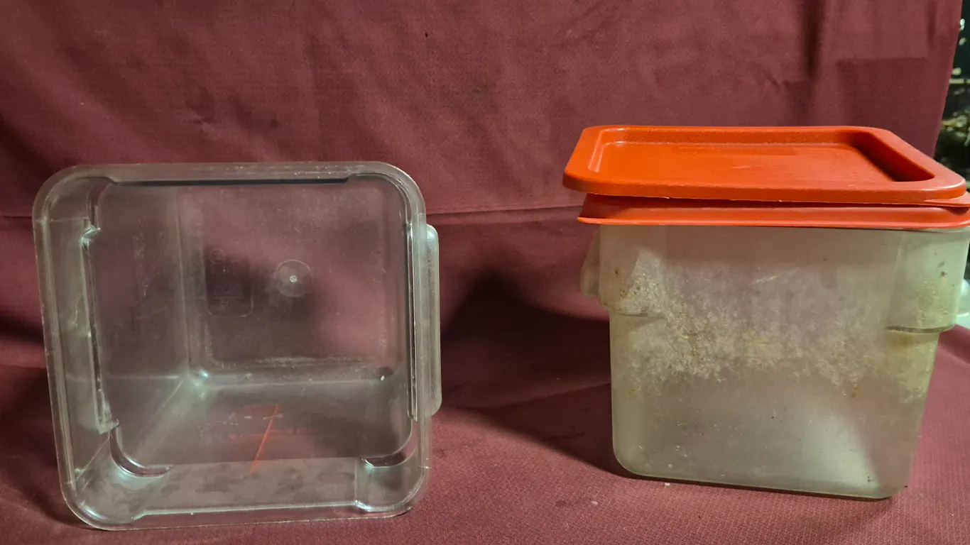 (2) 6qt Storage Containers with Covers