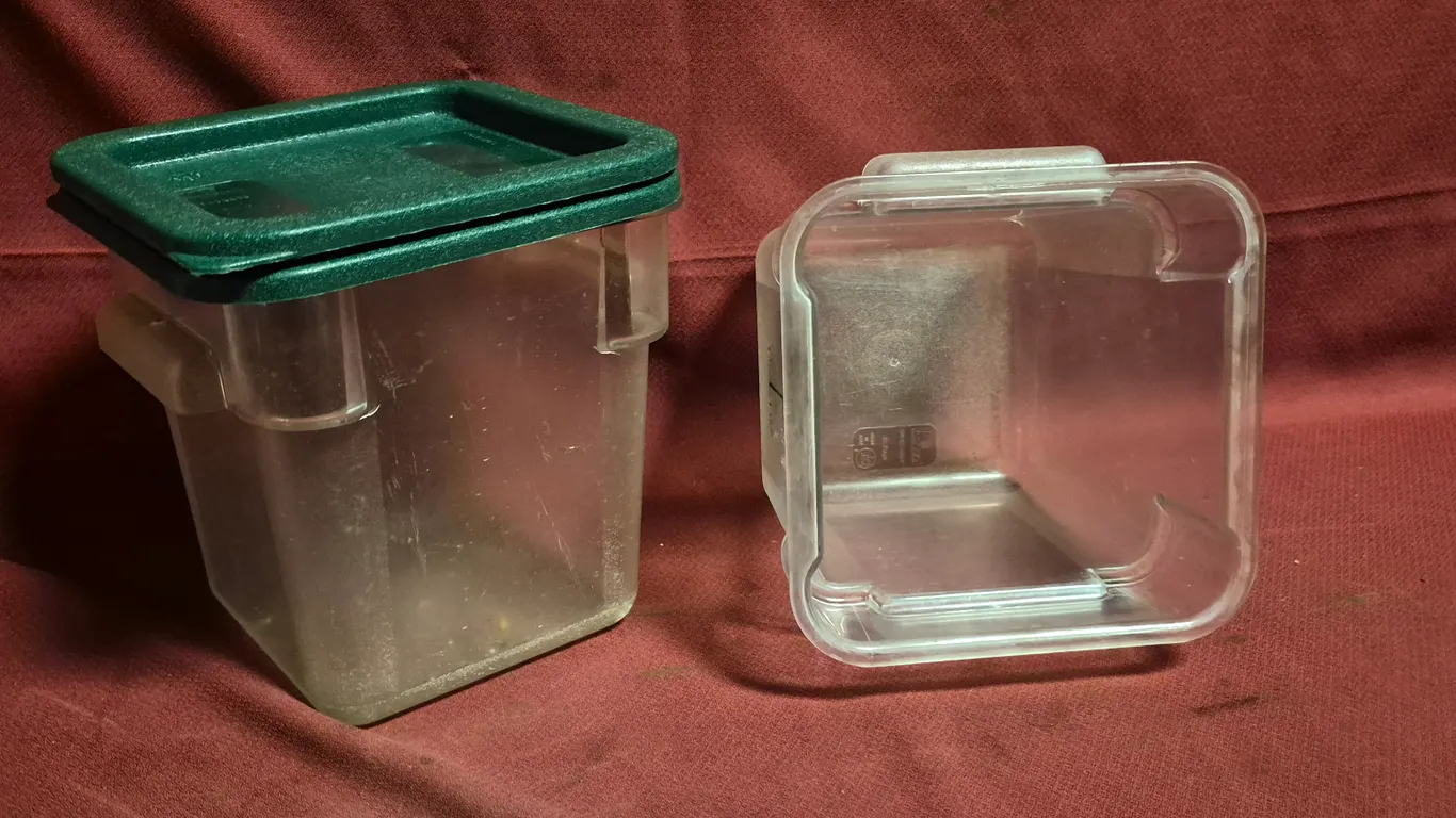 (2) 4qt Storage Containers with Covers