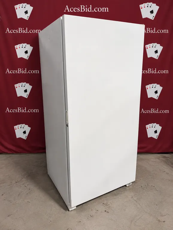 (Runs and Freezes) Frigedaire Single Door Freezer - 115 Volts; 1 Phase - 32" x 29" x 70"