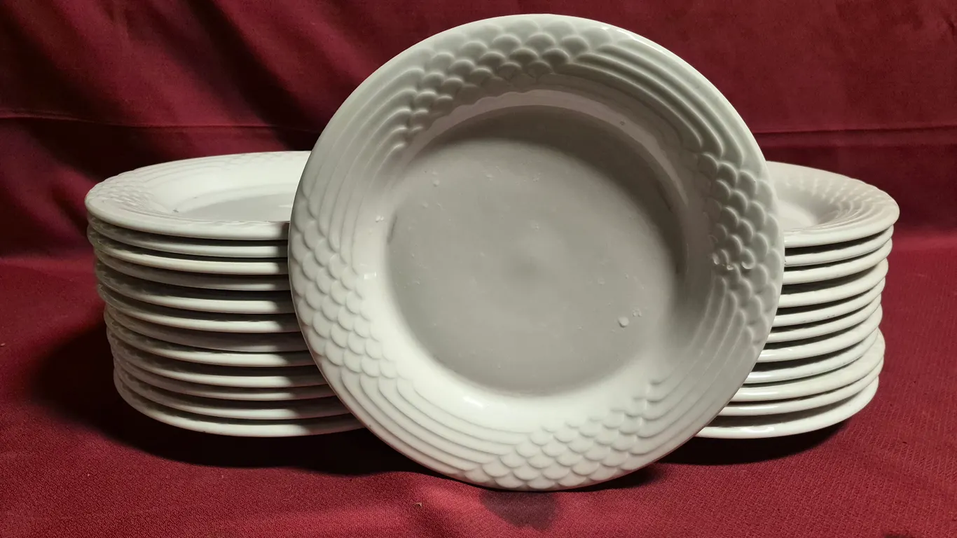 (24) Rego Fine Porcelain 10" Ceramic Plates