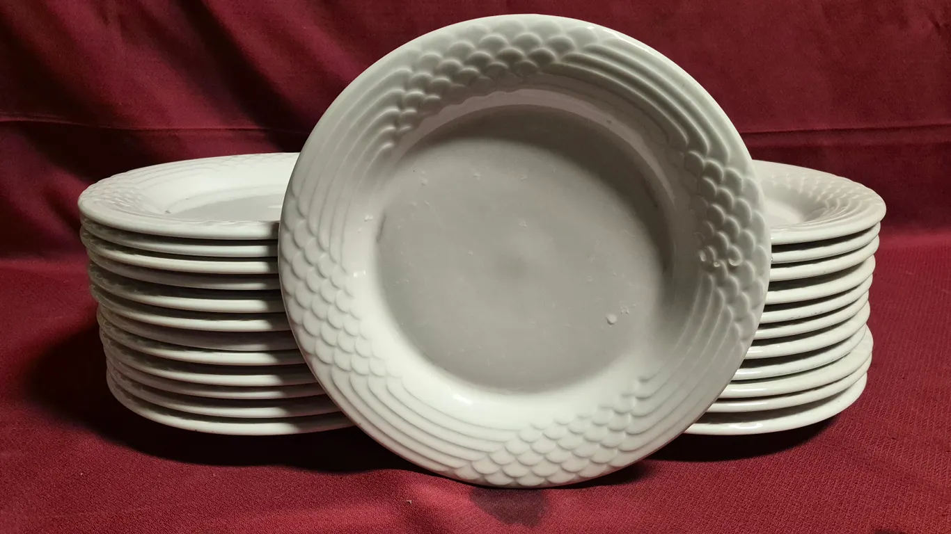 (24) Rego Fine Porcelain 10" Ceramic Plates