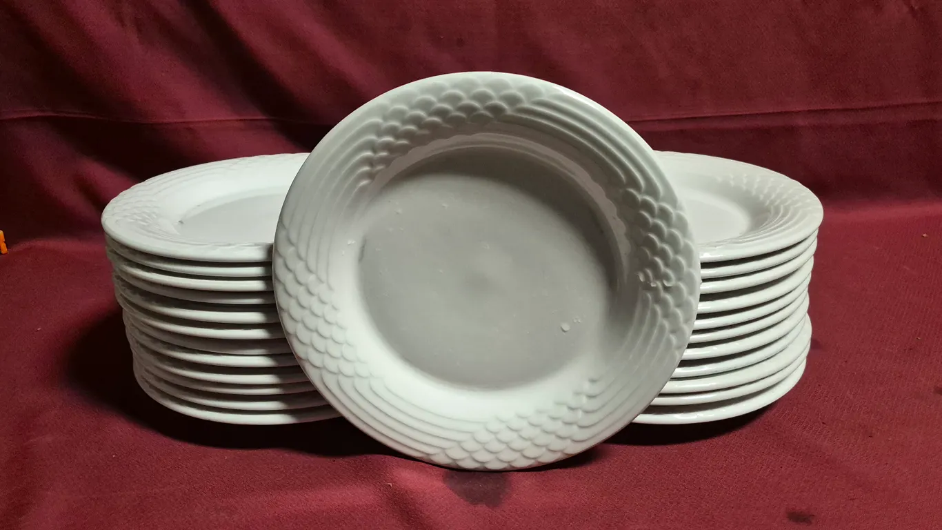 (24) Rego Fine Porcelain 10" Ceramic Plates