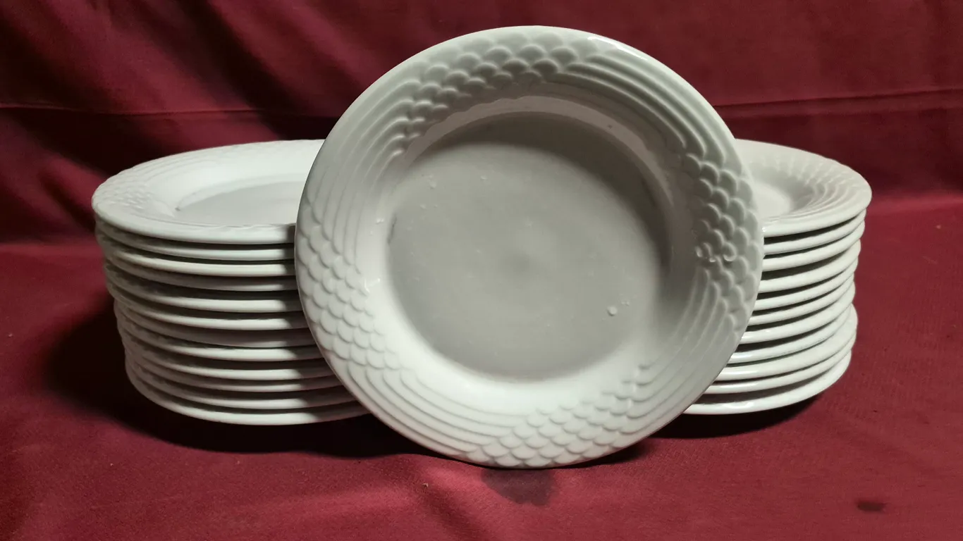 (24) Rego Fine Porcelain 10" Ceramic Plates