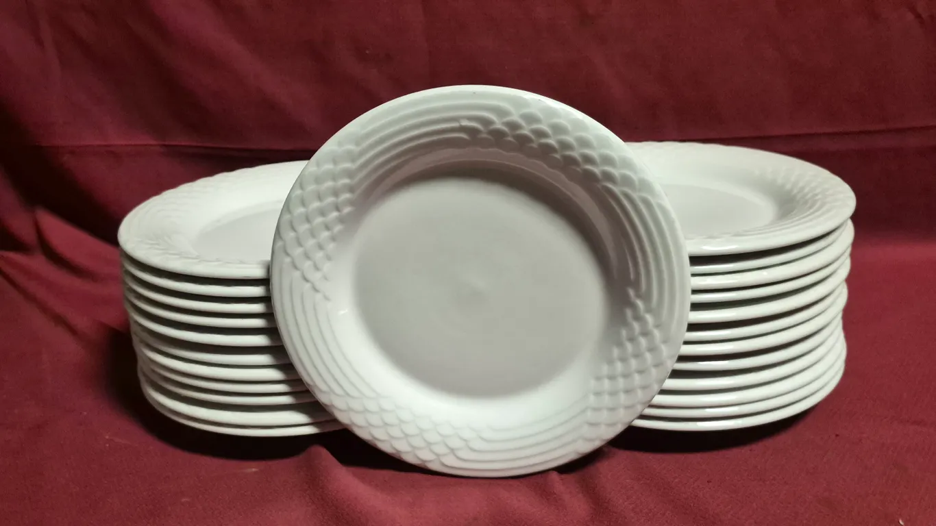 (24) Rego Fine Porcelain 10" Ceramic Plates
