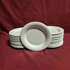 (24) Rego Fine Porcelain 10" Ceramic Plates