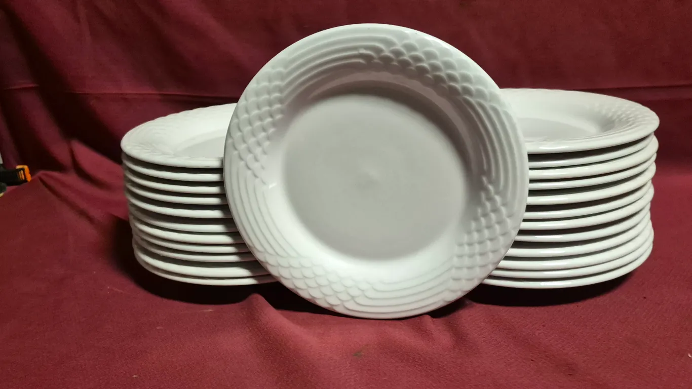 (24) Rego Fine Porcelain 10" Ceramic Plates