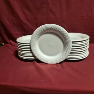 (24) Rego Fine Porcelain 10" Ceramic Plates
