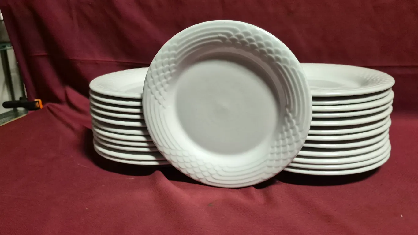 (24) Rego Fine Porcelain 10" Ceramic Plates
