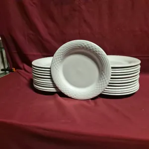 (24) Rego Fine Porcelain 10" Ceramic Plates