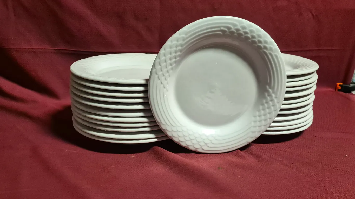 (24) Rego Fine Porcelain 10" Ceramic Plates