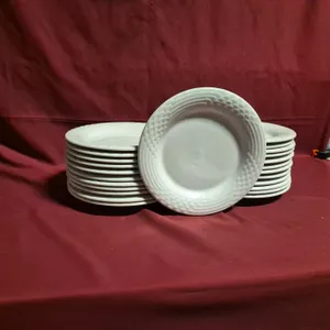 (24) Rego Fine Porcelain 10" Ceramic Plates