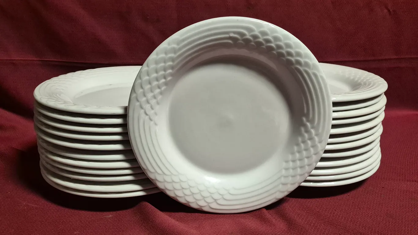 (24) Rego Fine Porcelain 10" Ceramic Plates