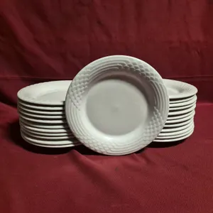 (24) Rego Fine Porcelain 10" Ceramic Plates
