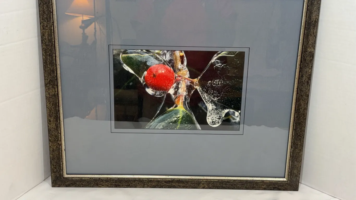 Original Photograph Art