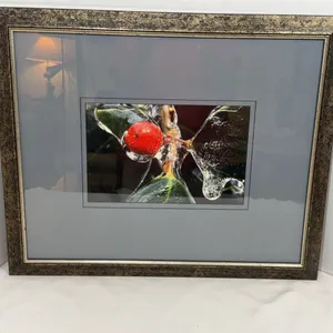 Original Photograph Art
