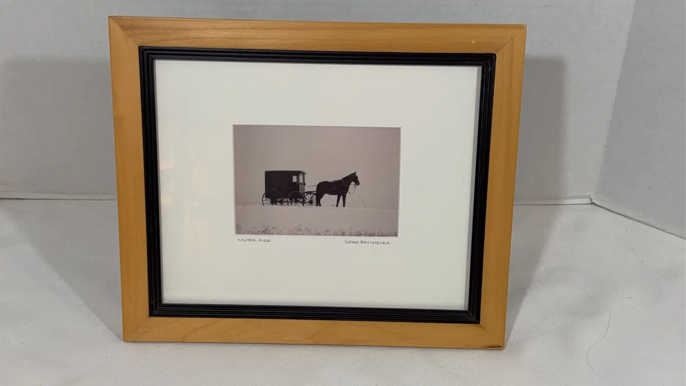 Original Susan Batcheler Art