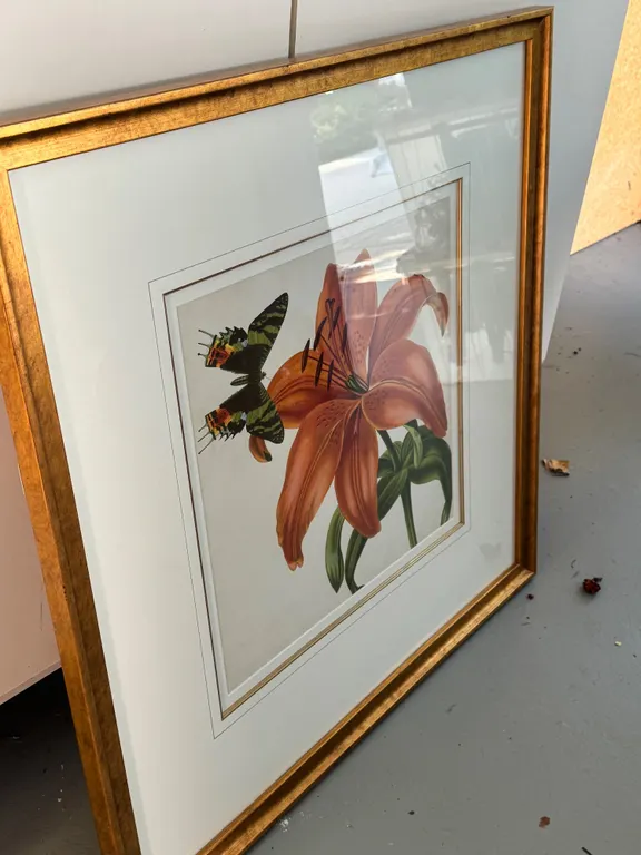 Botanical Butterfly Art