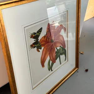 Botanical Butterfly Art
