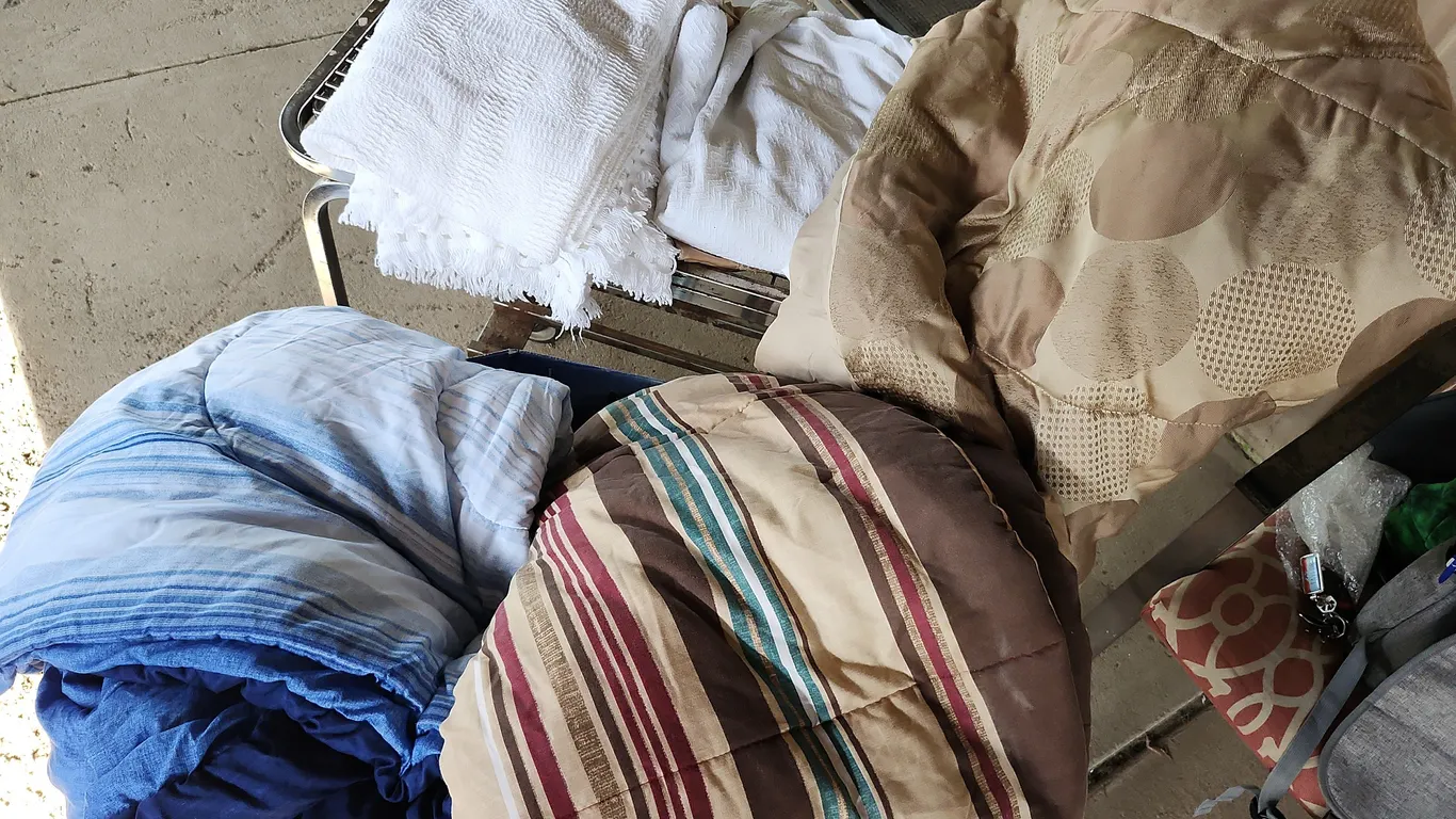 3 Comforters, Sheets, & Pillow Shams/Cases
