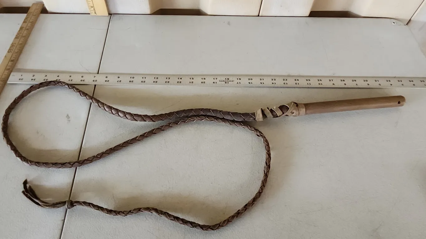 Vintage Mackinaw City Mich. U.S.A. Whip, Overall 80"