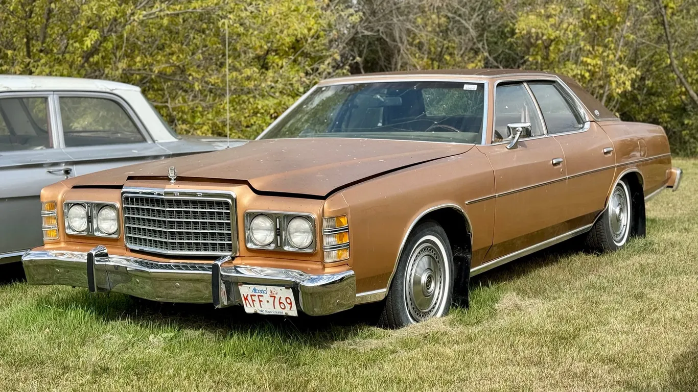 Lot 1985
