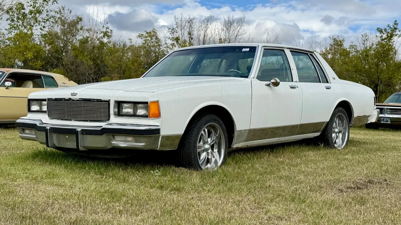 Lot 1989