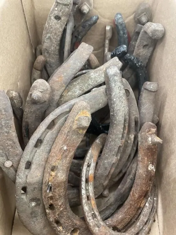Assortment of approx. 20 horseshoes.