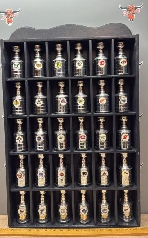 30 Little Stanley Cups in Custom Cabinet.