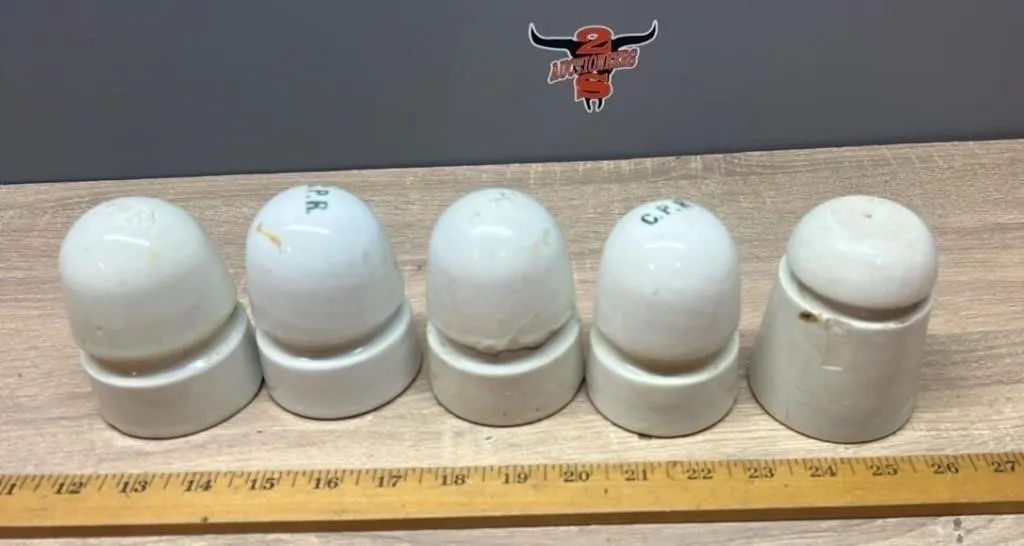 5 Porcelain Insulators