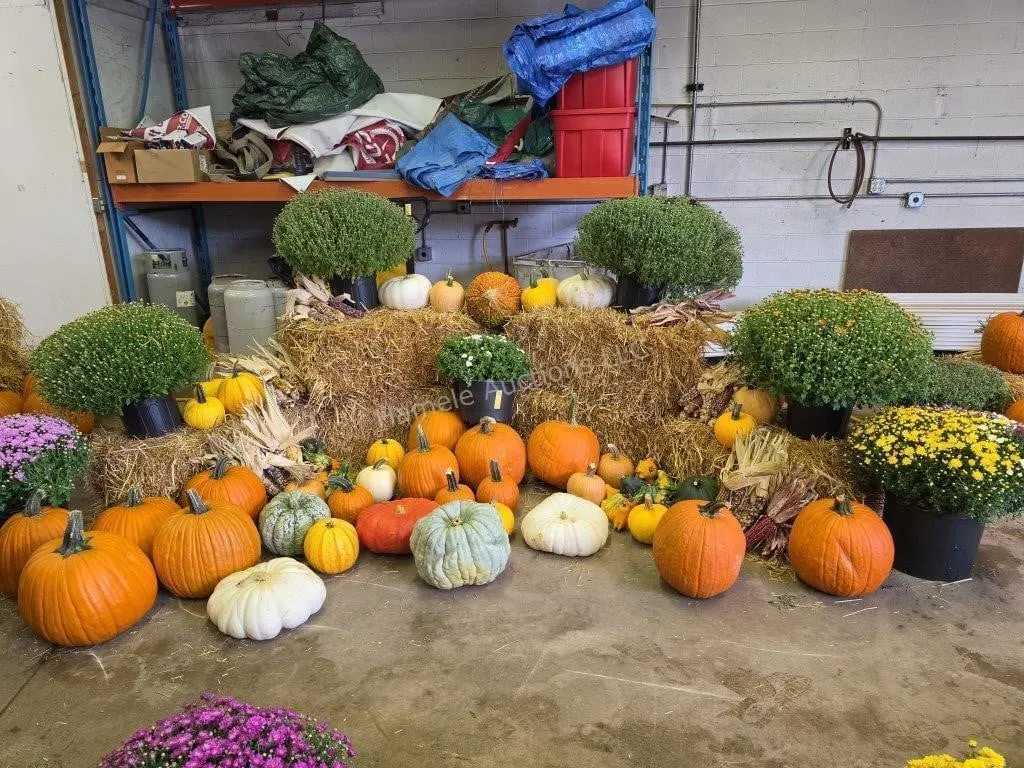 Fall Harvest Decoration.