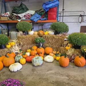Fall Harvest Decoration.